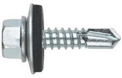 Self Tapping Screw